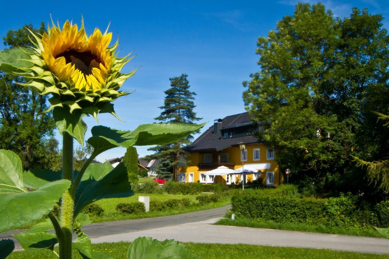 Landgasthof Zum Betenmacher Thalgau Dış mekan fotoğraf